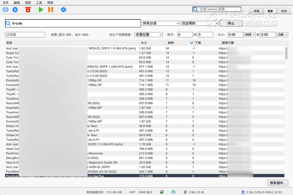 图片[3]-「群晖Synology」qBittorrent初始化设置教程